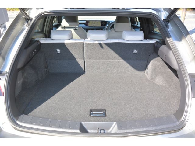 Lexus UX 2020-01 192659-18