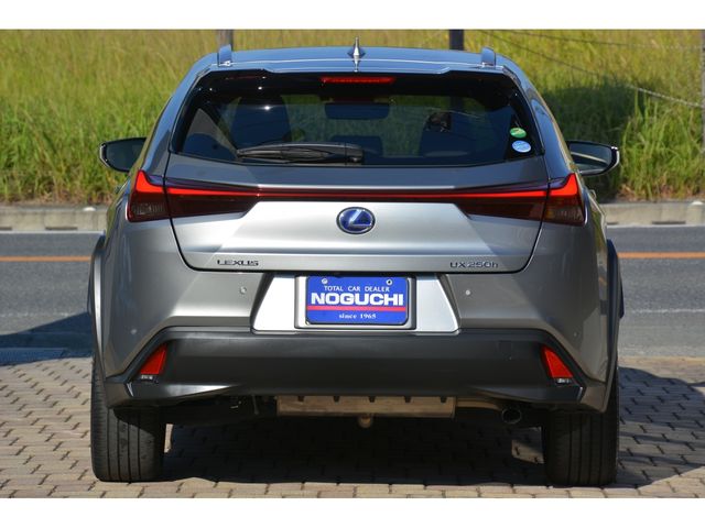 Lexus UX 2020-01 192659-5