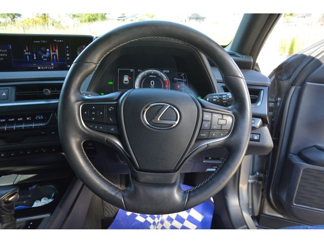Lexus UX 2020-01 192659-7
