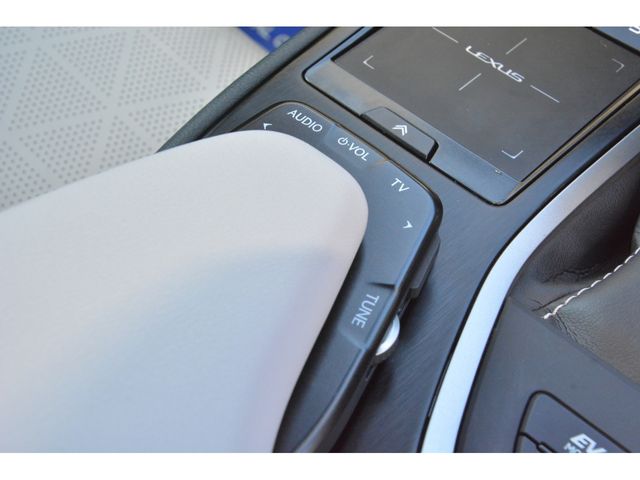 Lexus UX 2020-01 192659-11