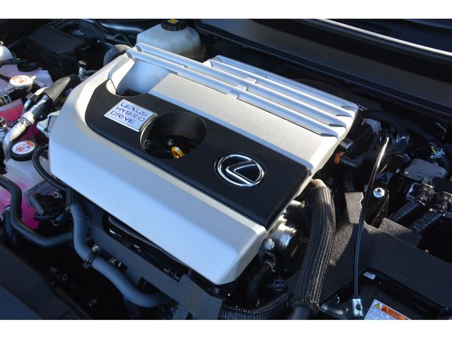 Lexus UX 2020-01 192659-22