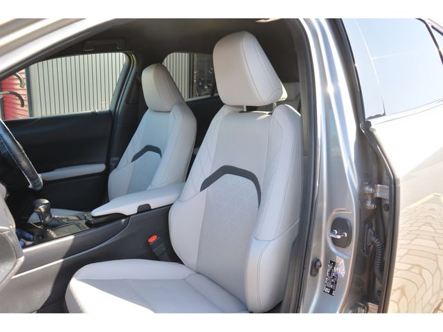 Lexus UX 2020-01 192659-15