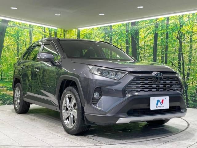 Toyota RAV4 2020-01 27919-16