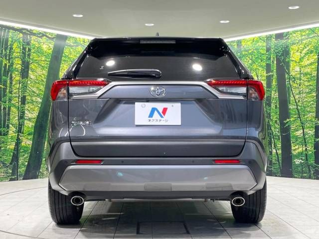 Toyota RAV4 2020-01 27919-15