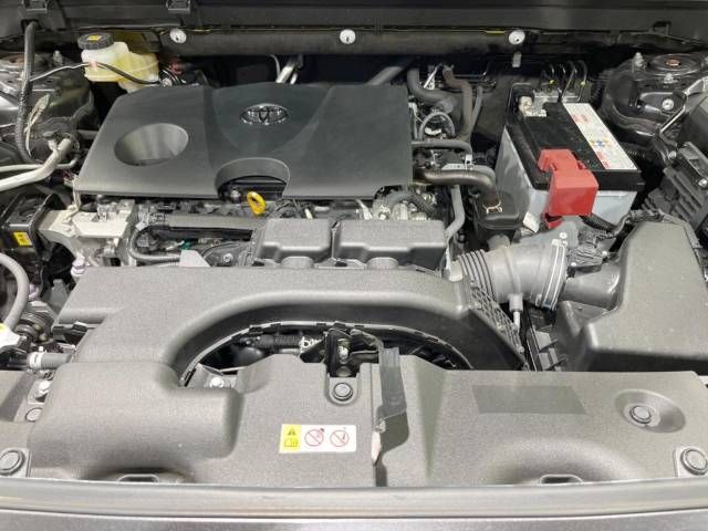 Toyota RAV4 2020-01 27919-18