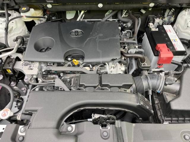 Toyota RAV4 2021-07 10198-18
