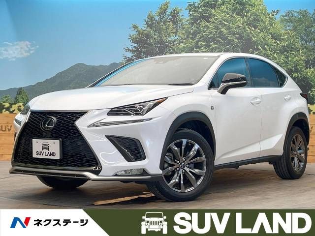 Lexus NX 2019-07 20102-0