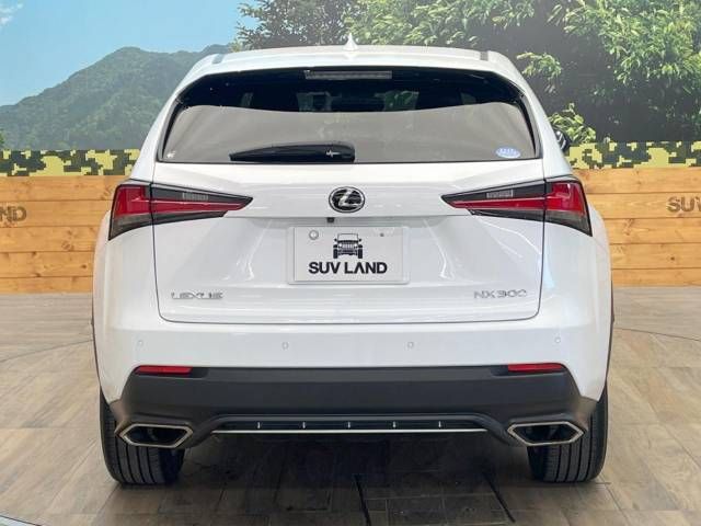 Lexus NX 2019-07 20102-15