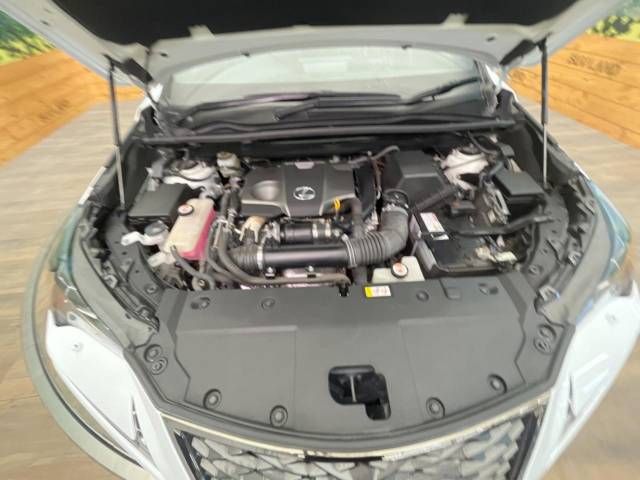 Lexus NX 2019-07 20102-18