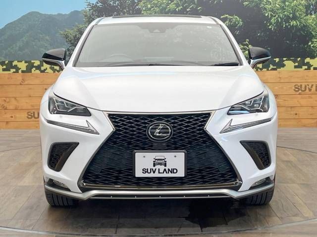 Lexus NX 2019-07 20102-14