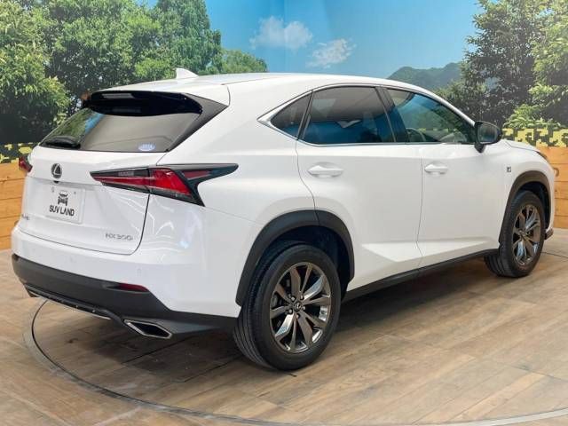 Lexus NX 2019-07 20102-17