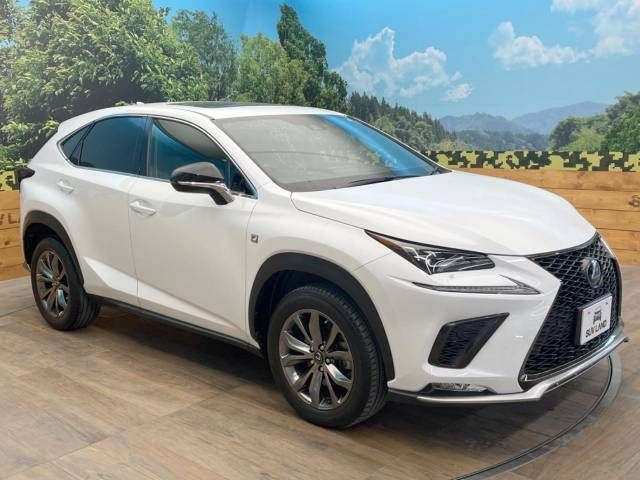 Lexus NX 2019-07 20102-16