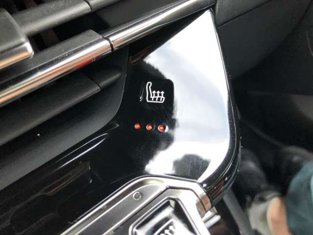Peugeot 2008 2021-01 9925-17