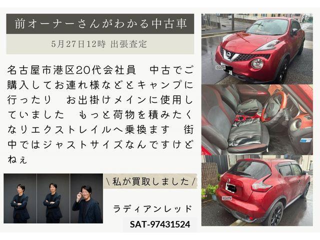 Nissan JUKE 2017-03 383324-12