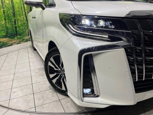 Toyota ALPHARD 2018-09 11301-12