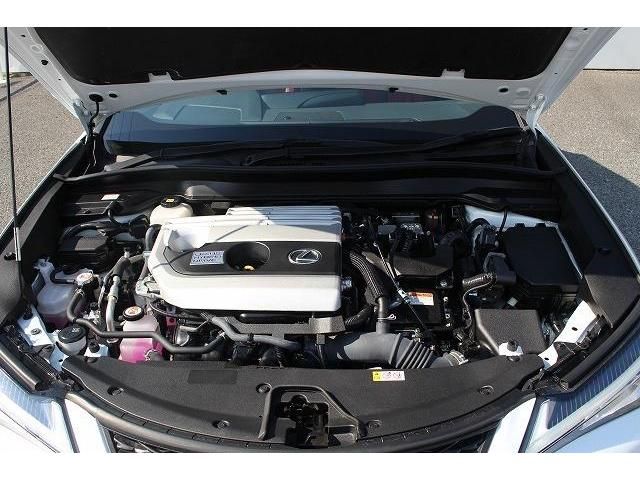 Lexus UX 2020-03 6307-18