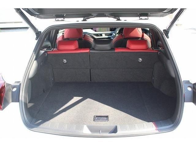 Lexus UX 2020-03 6307-17