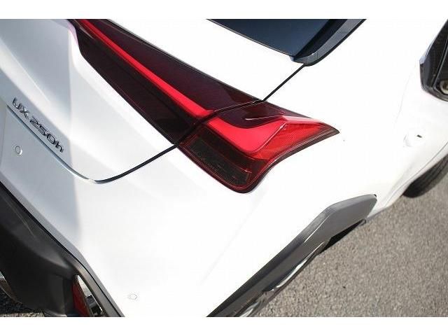 Lexus UX 2020-03 6307-13