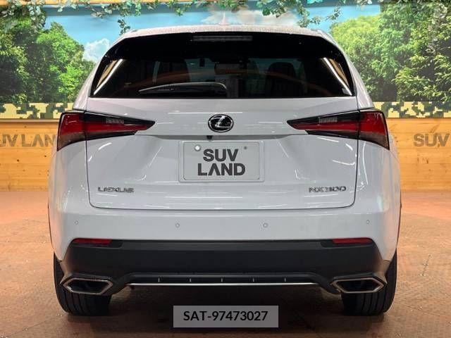 Lexus NX 2018-08 275650-15