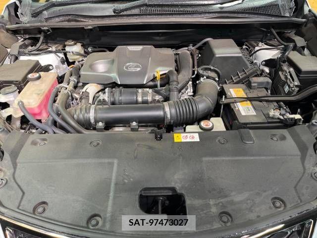 Lexus NX 2018-08 275650-18