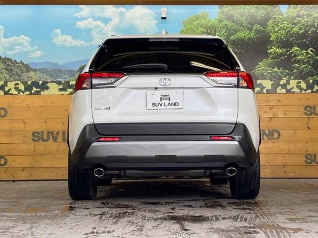 Toyota RAV4 2020-01 187046-16