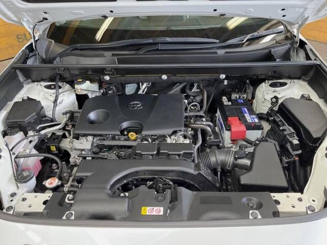 Toyota RAV4 2020-01 187046-19