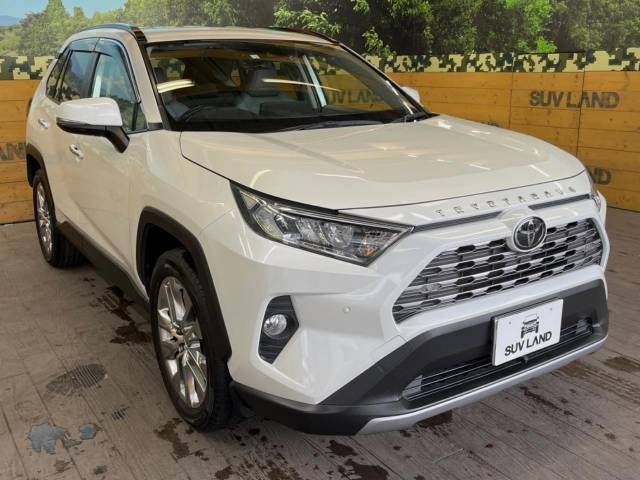 Toyota RAV4 2020-01 187046-17