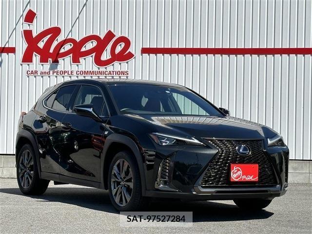 Lexus UX 2019-02 313514-3