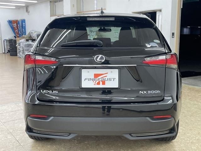 Lexus NX 2015-08 9159-5