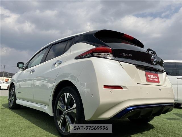 Nissan LEAF 2020-11 210700-1