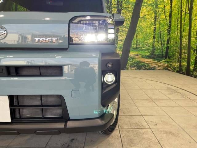 Daihatsu TAFT 2020-11 182006-12