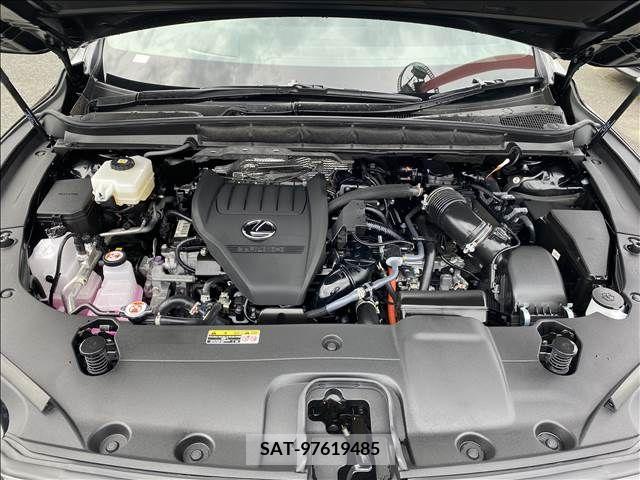 Lexus RX 2023-05 275888-17