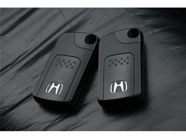 Honda ELYSION 2010-09 15717-17