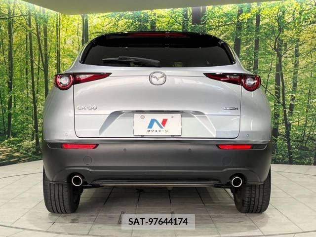 Mazda CX-30 2021-09 302114-15