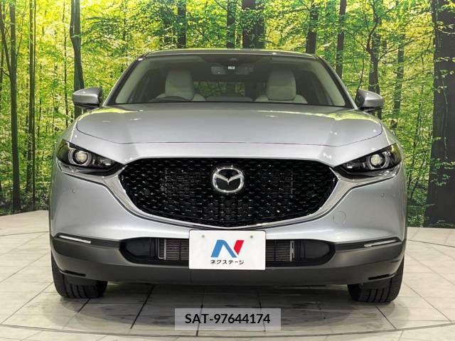 Mazda CX-30 2021-09 302114-14