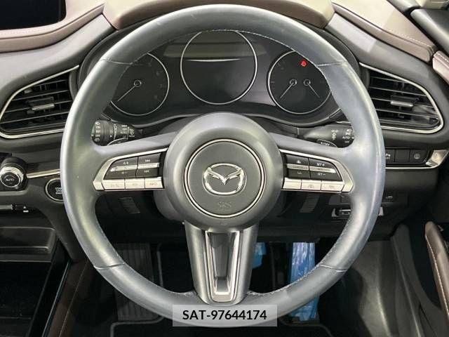 Mazda CX-30 2021-09 302114-11