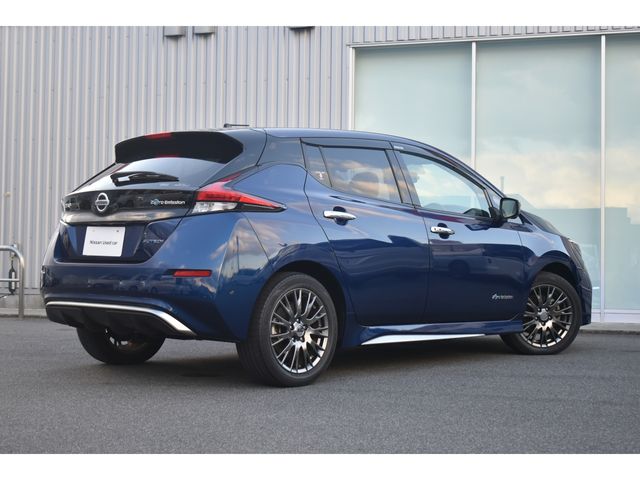 Nissan LEAF 2019-09 29225-1