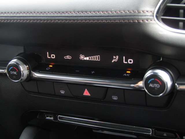 Mazda MAZDA3 2019-06 15126-12