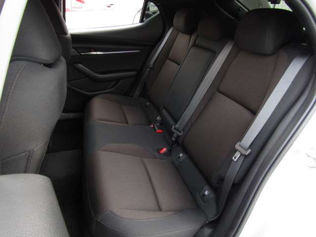 Mazda MAZDA3 2019-06 15126-9
