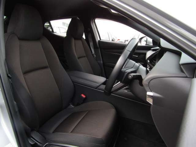 Mazda MAZDA3 2019-06 15126-8