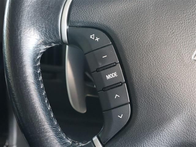 Mitsubishi DELICA D5 2013-11 28808-10