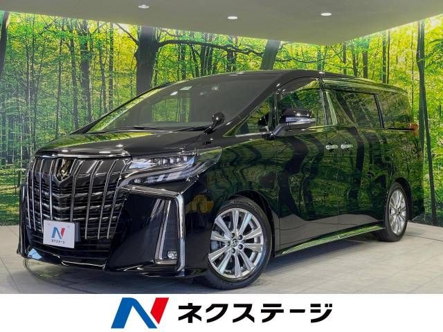 Toyota ALPHARD 2020-10 18771-0
