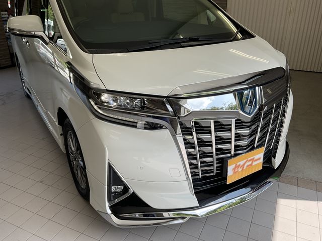 Toyota ALPHARD HYBRID 2018-05 19579-22