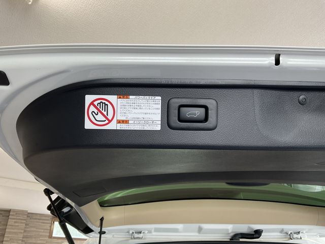 Toyota ALPHARD HYBRID 2018-05 19579-13