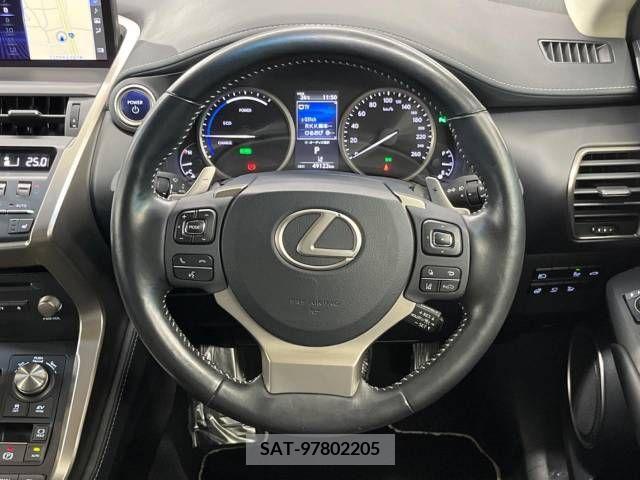Lexus NX 2019-03 300551-10