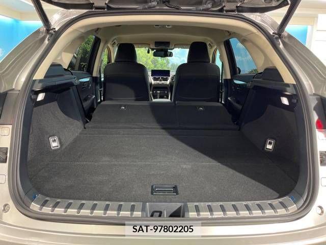 Lexus NX 2019-03 300551-9