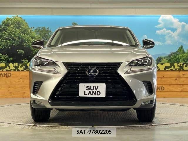 Lexus NX 2019-03 300551-13