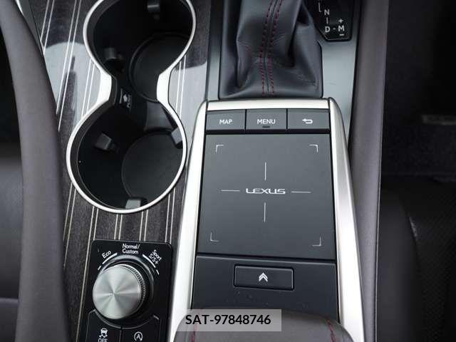 Lexus RX 2020-03 275789-13