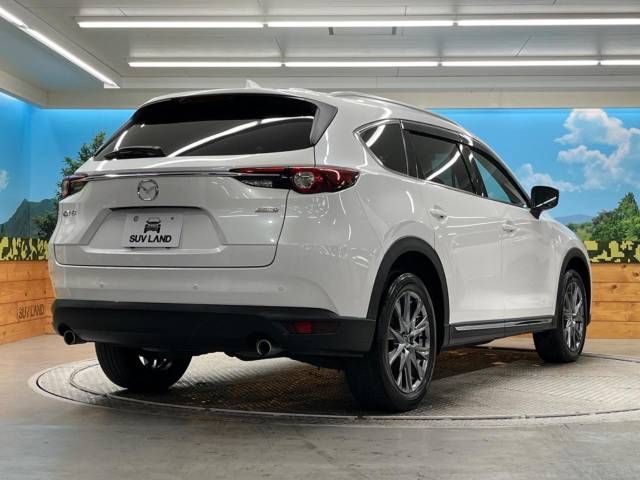 Mazda CX-8 2019-04 183134-17