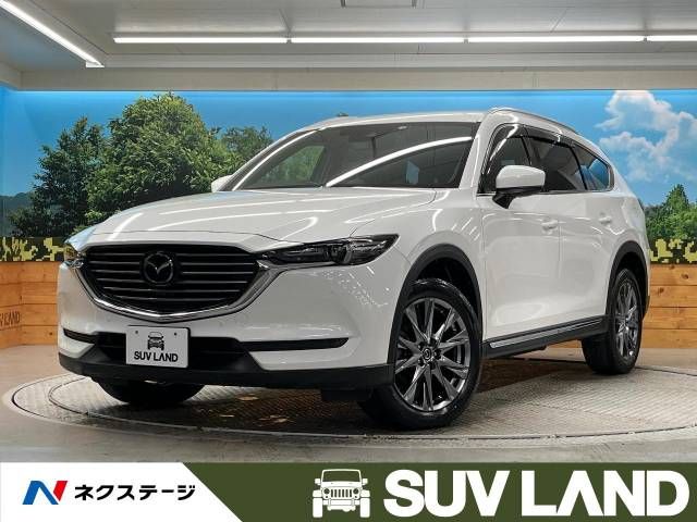 Mazda CX-8 2019-04 183134-0